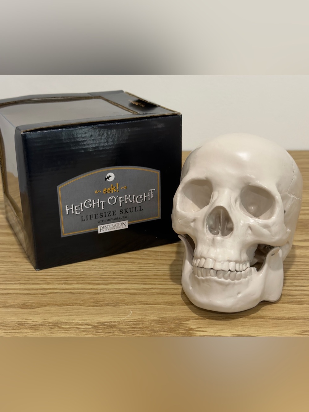 Restoration Hardware Skull Human Life Size Resin Vintage Y2K Halloween